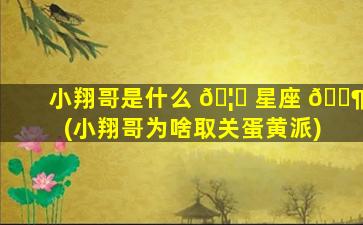小翔哥是什么 🦍 星座 🐶 (小翔哥为啥取关蛋黄派)